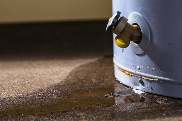 Best Flood damage cleanup  in Southmont, NC