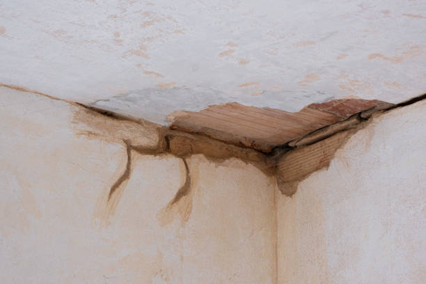 Best Local water damage restoration  in Southmont, NC
