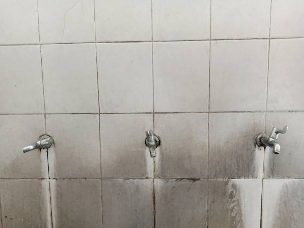 Best Ceiling water damage repair  in Southmont, NC